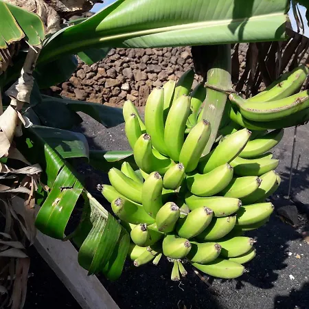 Apartamento Casa Chona